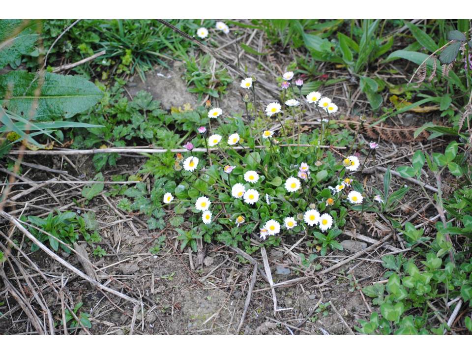 Presentación4 Presentación4