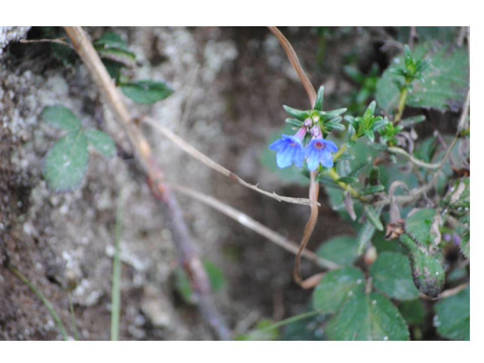 Presentación5 Presentación5