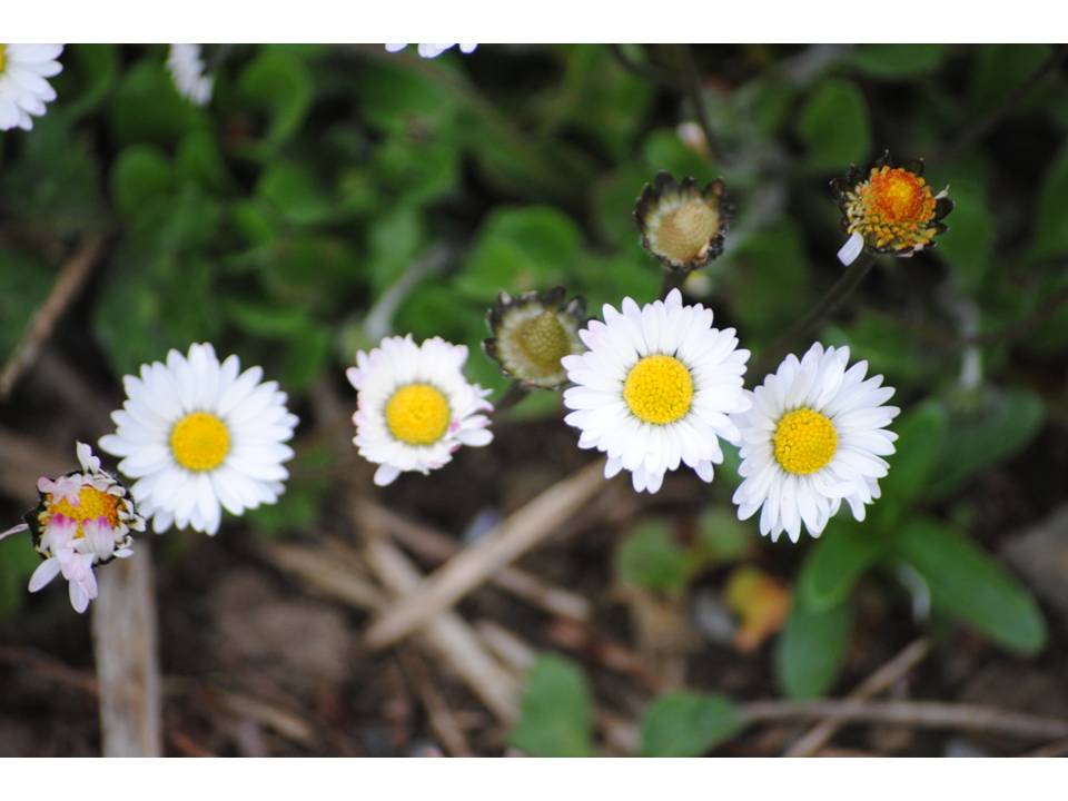 Presentación5 Presentación5