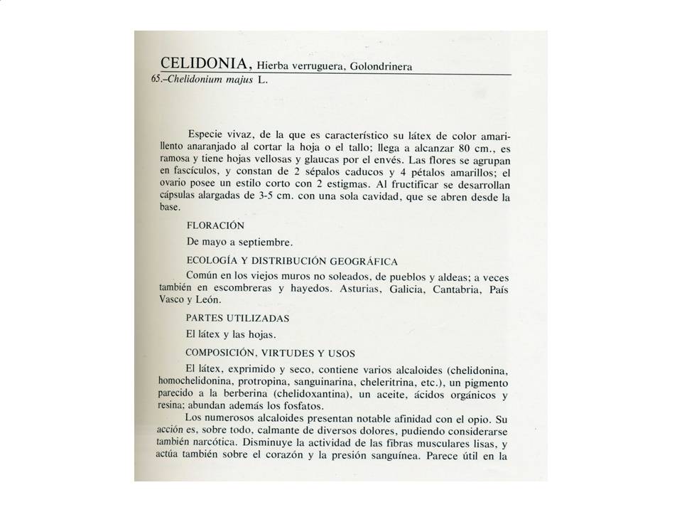 Presentación5 Presentación5