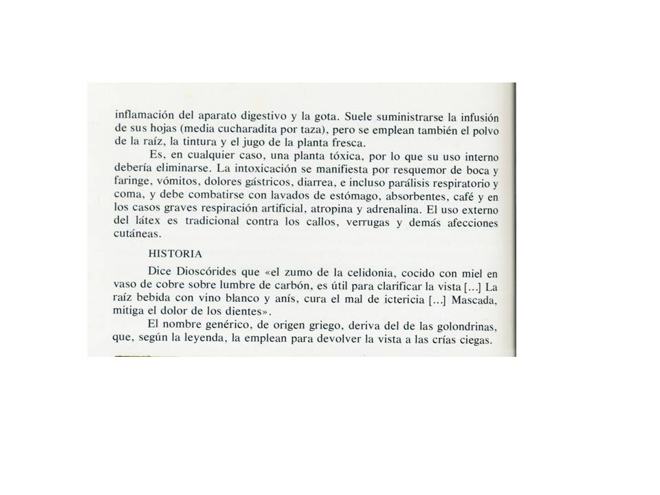 Presentación6 Presentación6