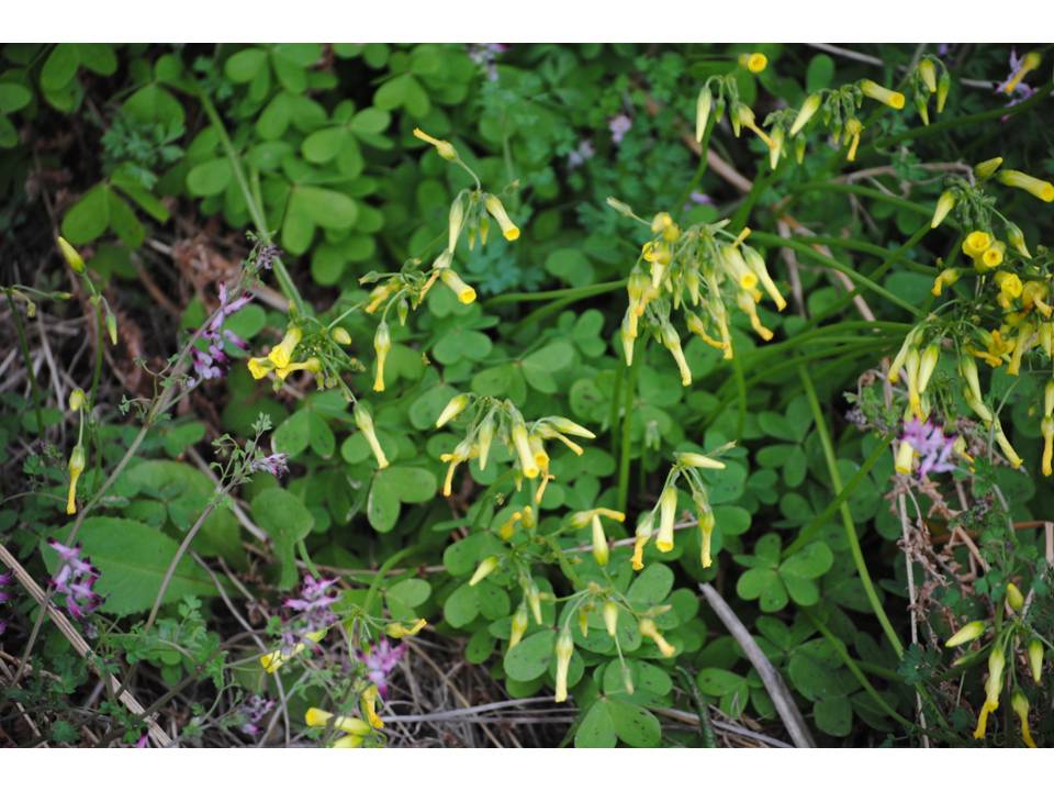 Presentación7 Presentación7