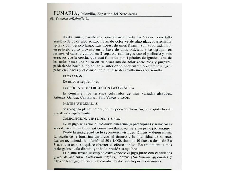 Presentación7 Presentación7