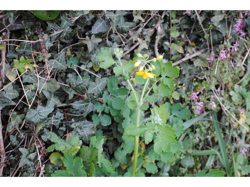 Presentación8 Presentación8