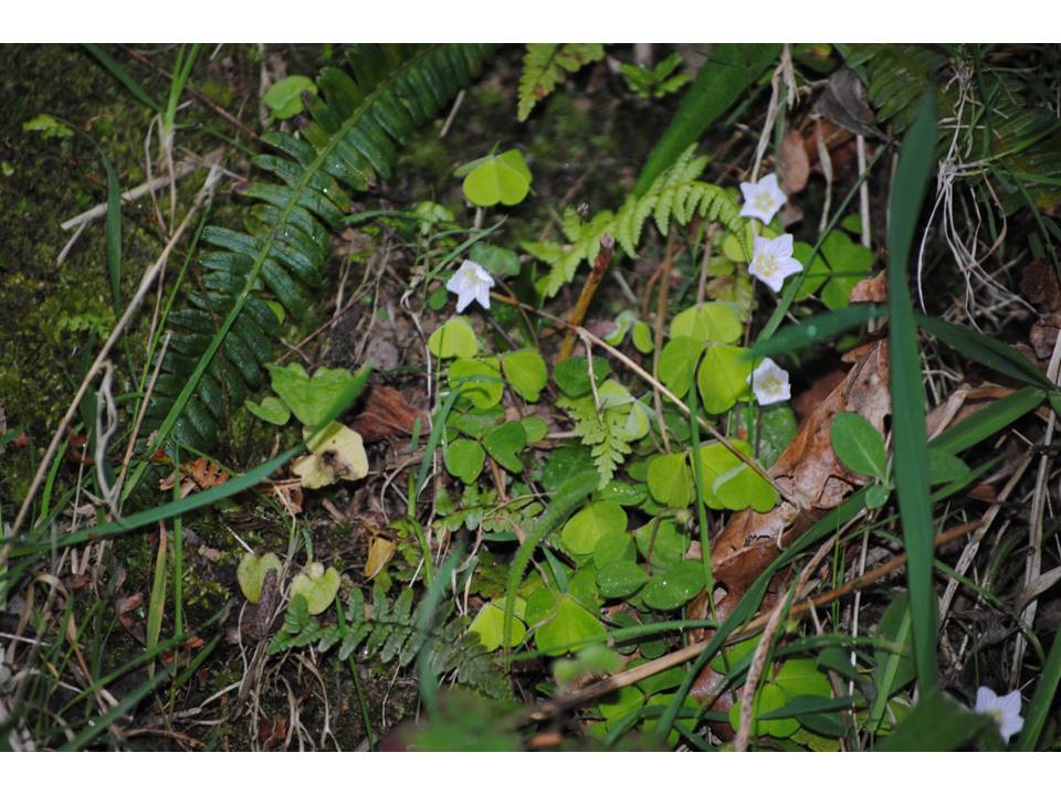 Presentación9 Presentación9