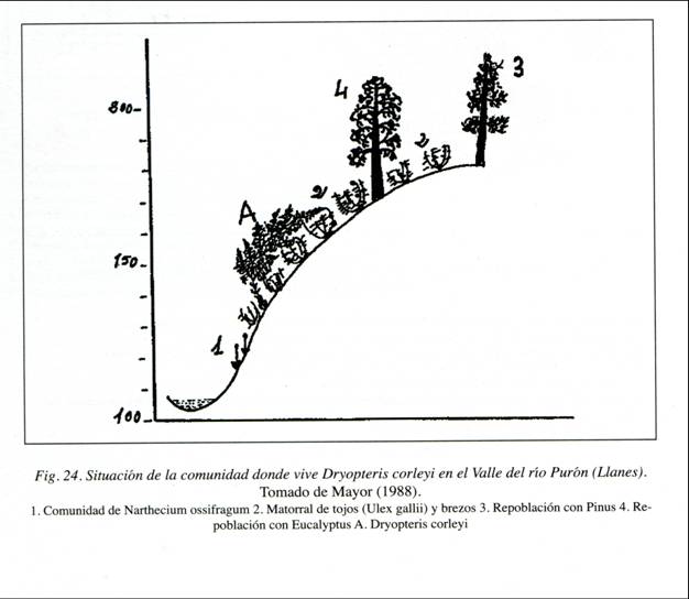 slide0001_image002