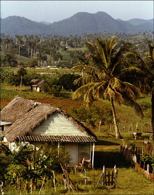 slide0001_image002 slide0001_image002