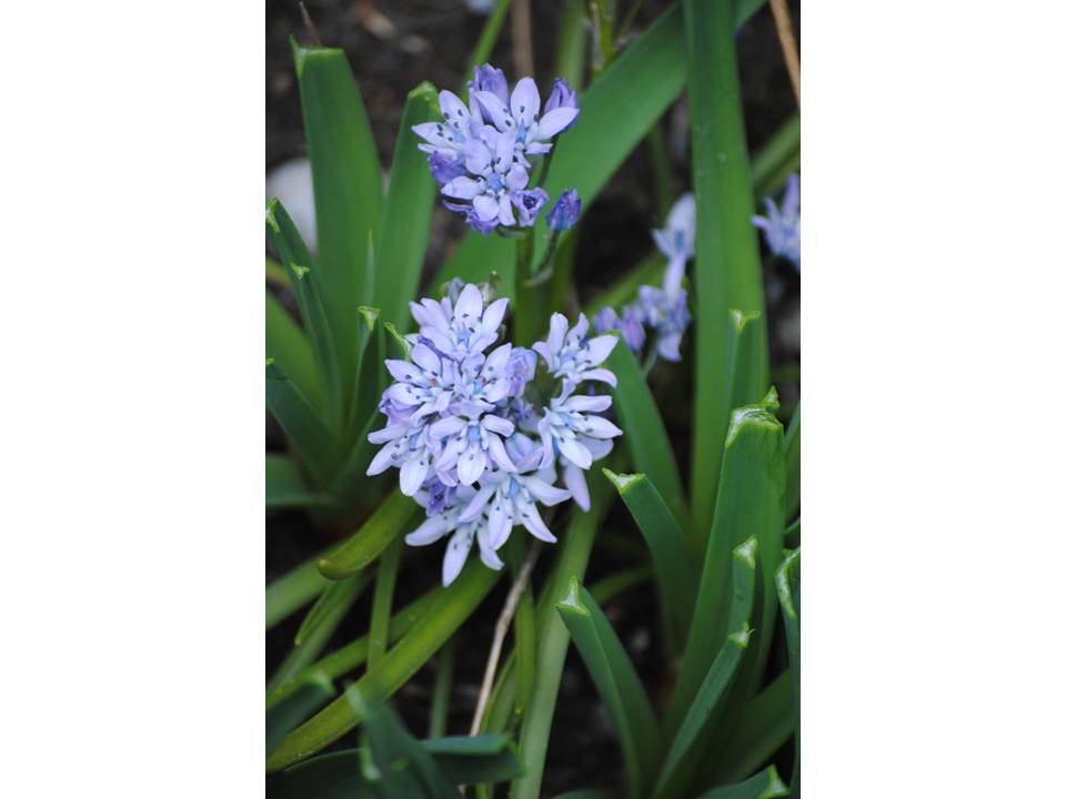 Presentación10 Presentación10