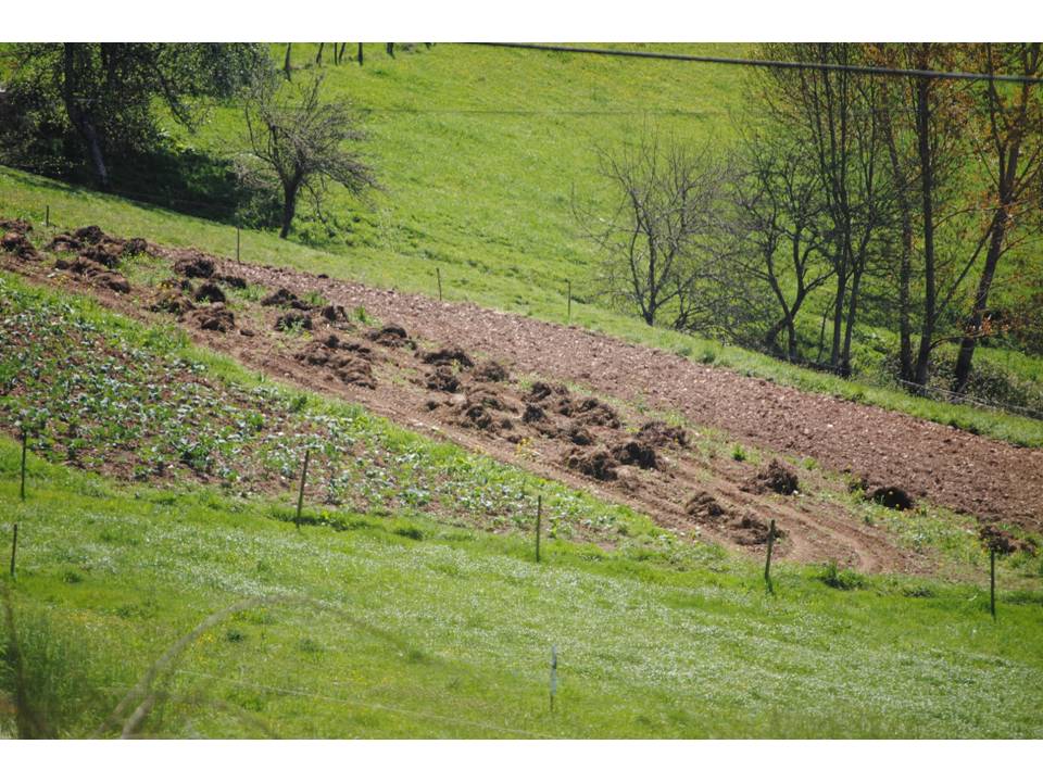 Presentación10 Presentación10