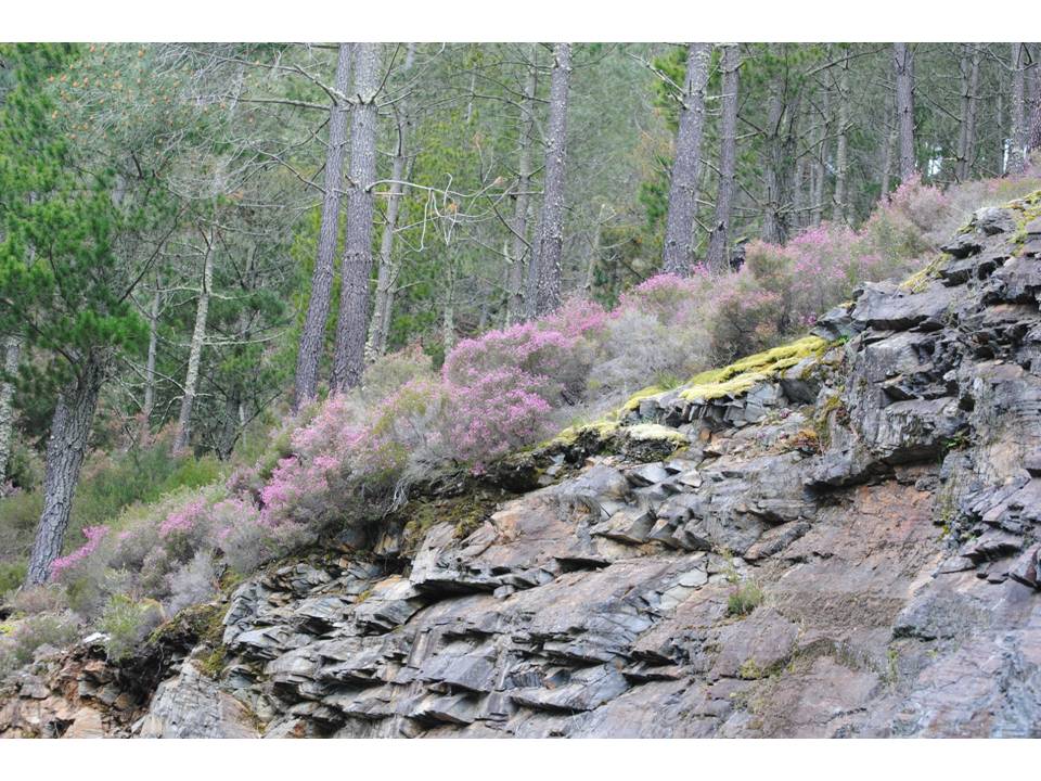 Presentación11 Presentación11