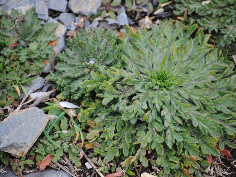 Presentación11 Presentación11