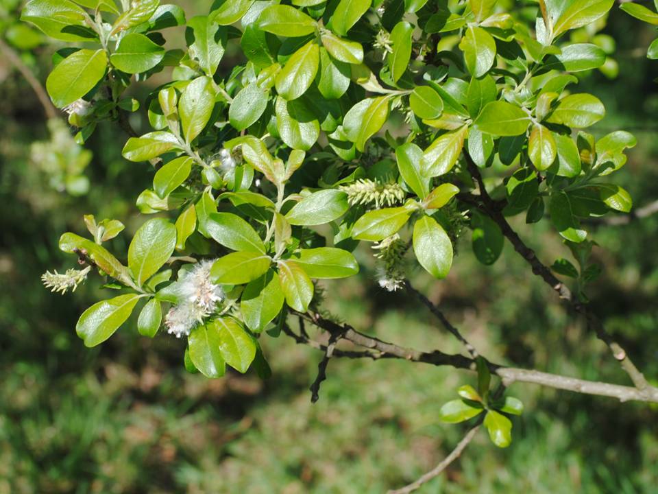 Presentación1 Presentación1