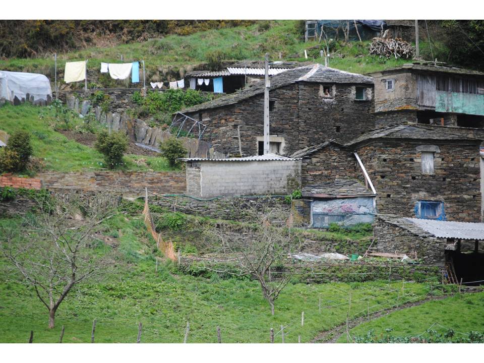 Presentación1 Presentación1