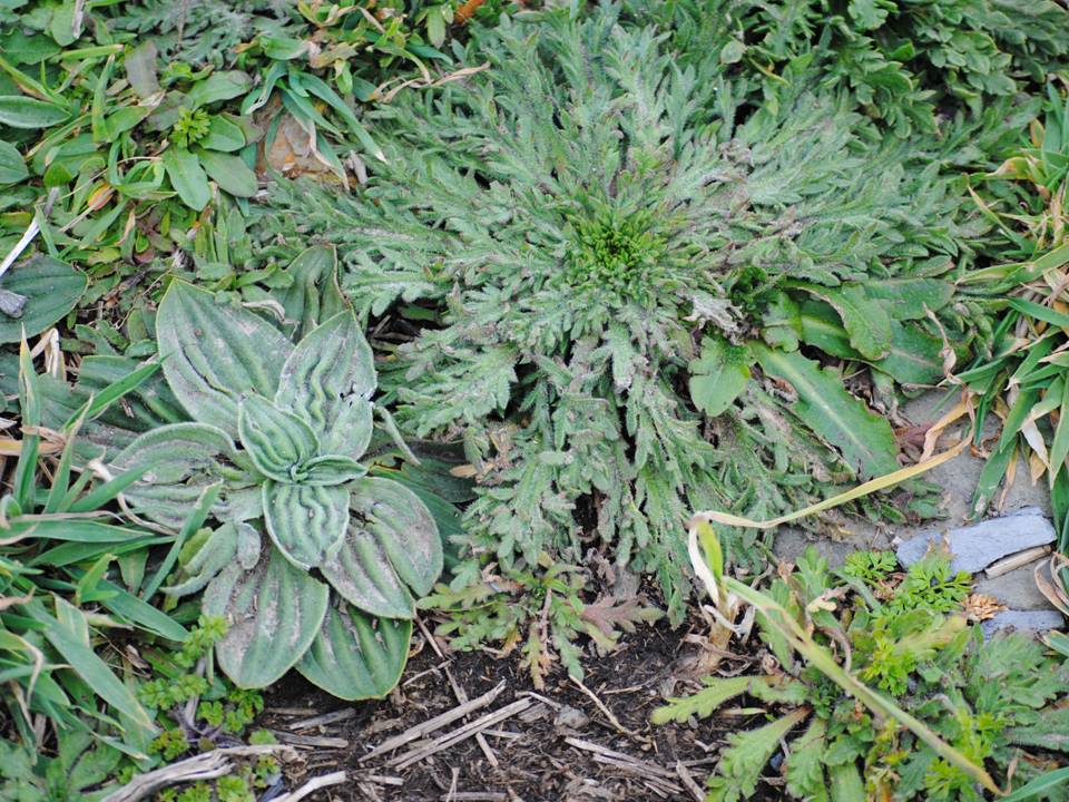 Presentación12 Presentación12