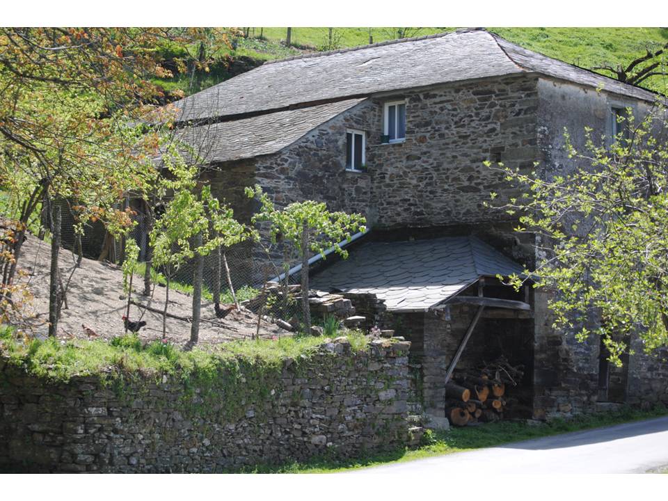 Presentación12 Presentación12