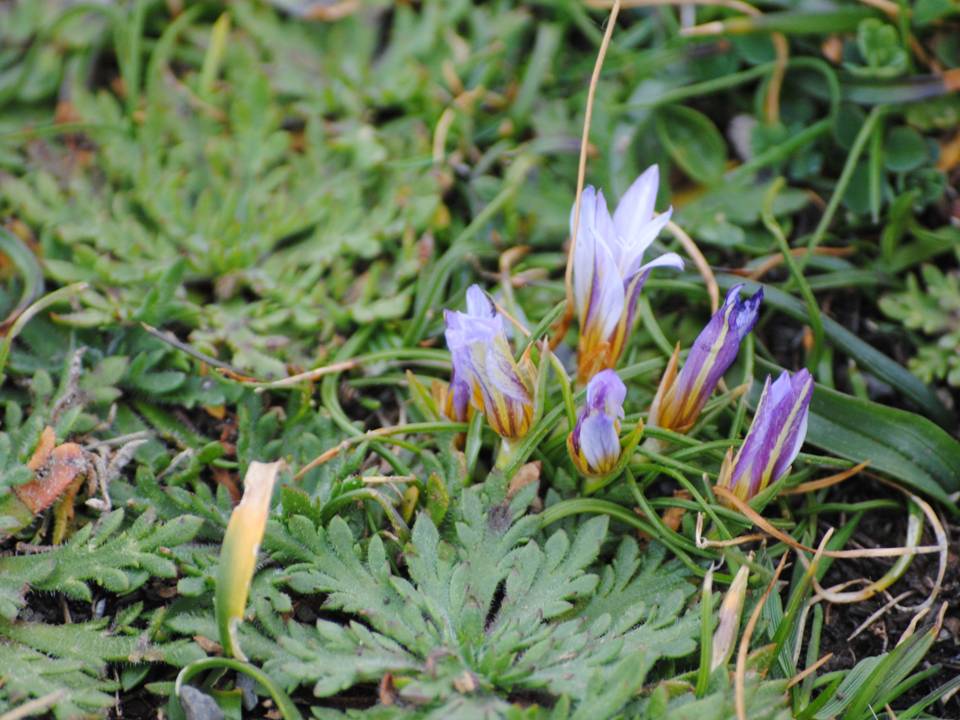 Presentación13 Presentación13