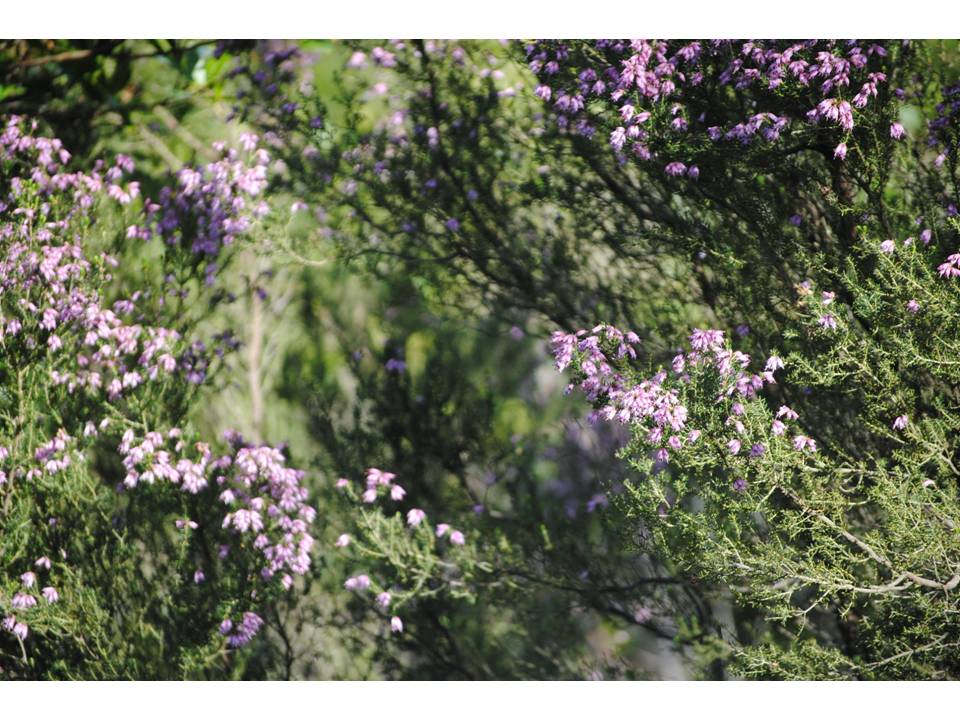 Presentación13 Presentación13