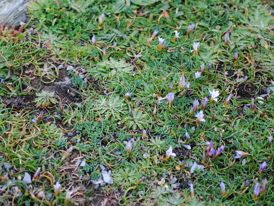 Presentación14 Presentación14