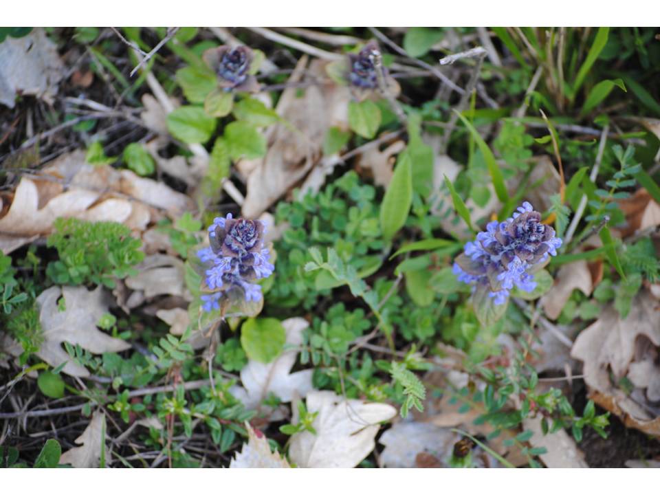 Presentación14 Presentación14