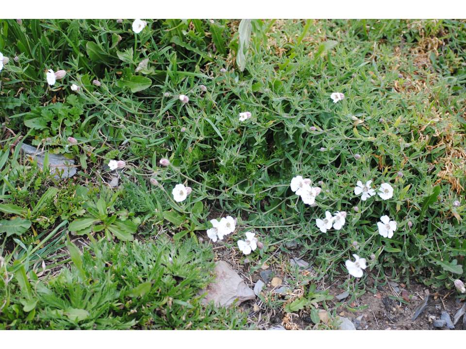 Presentación15 Presentación15