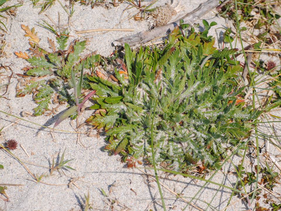 Presentación15 Presentación15