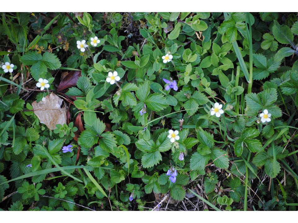 Presentación15 Presentación15