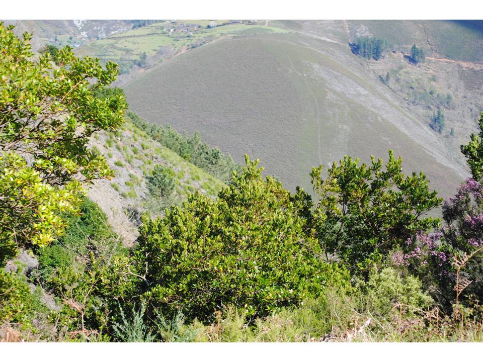 Presentación16 Presentación16