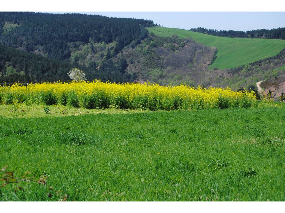 Presentación16 Presentación16