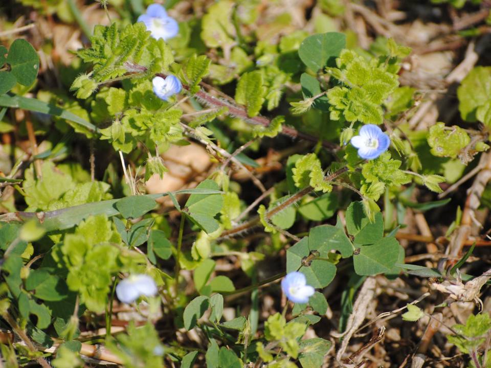 Presentación17 Presentación17