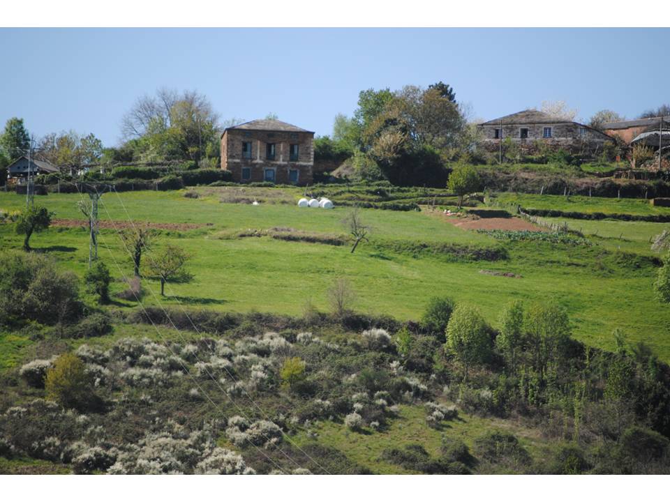 Presentación17 Presentación17