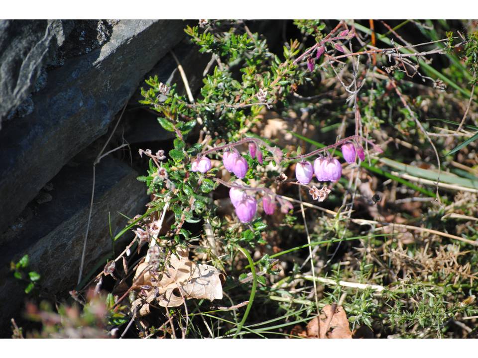 Presentación18 Presentación18