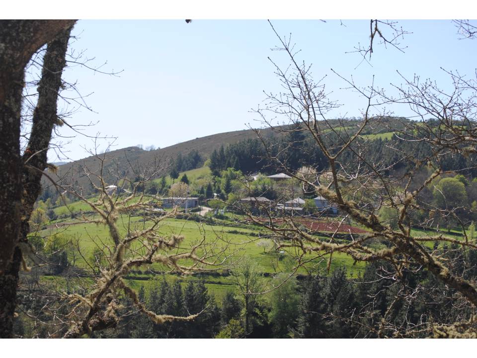 Presentación19 Presentación19