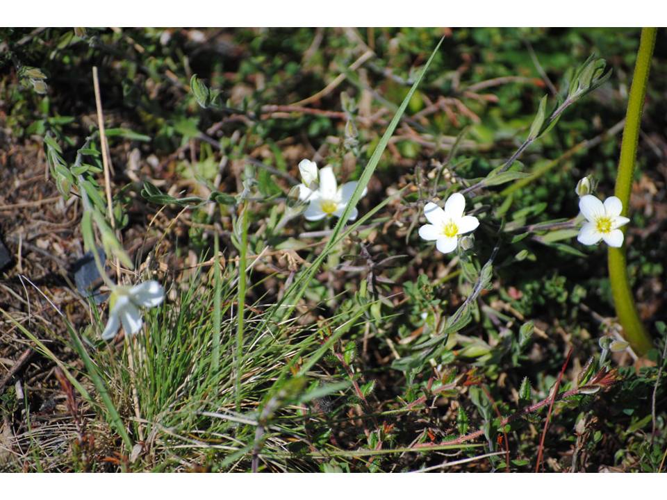 Presentación20 Presentación20