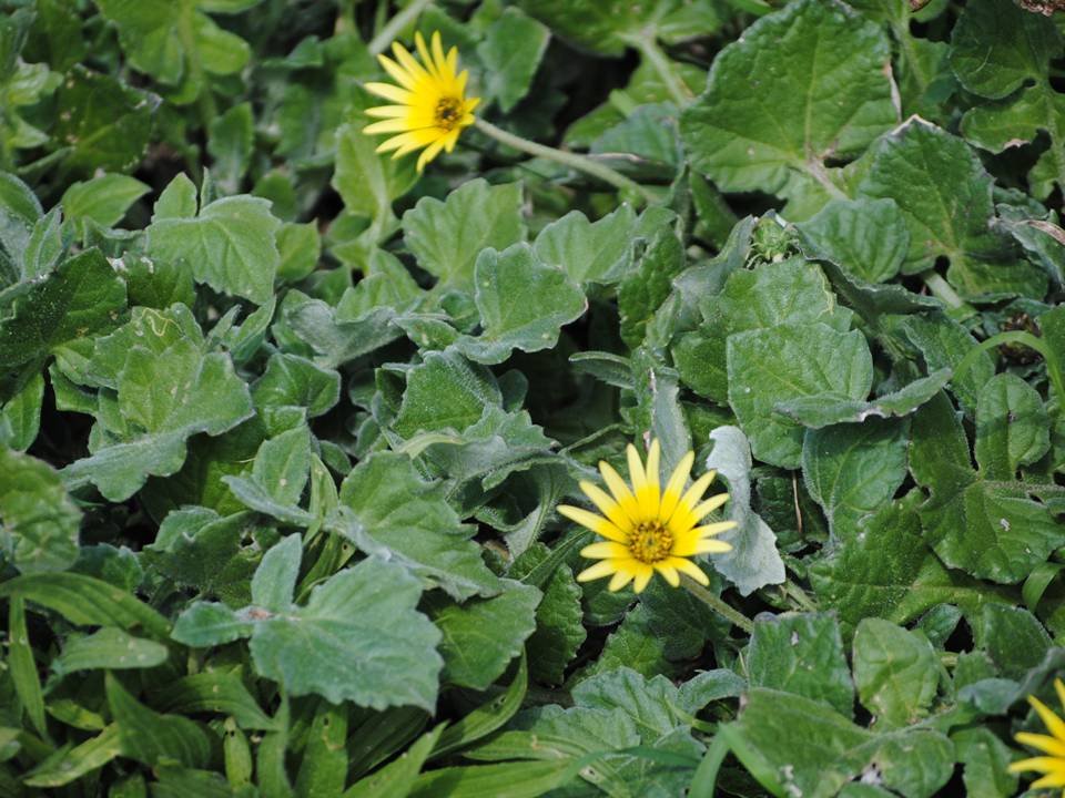 Presentación20 Presentación20