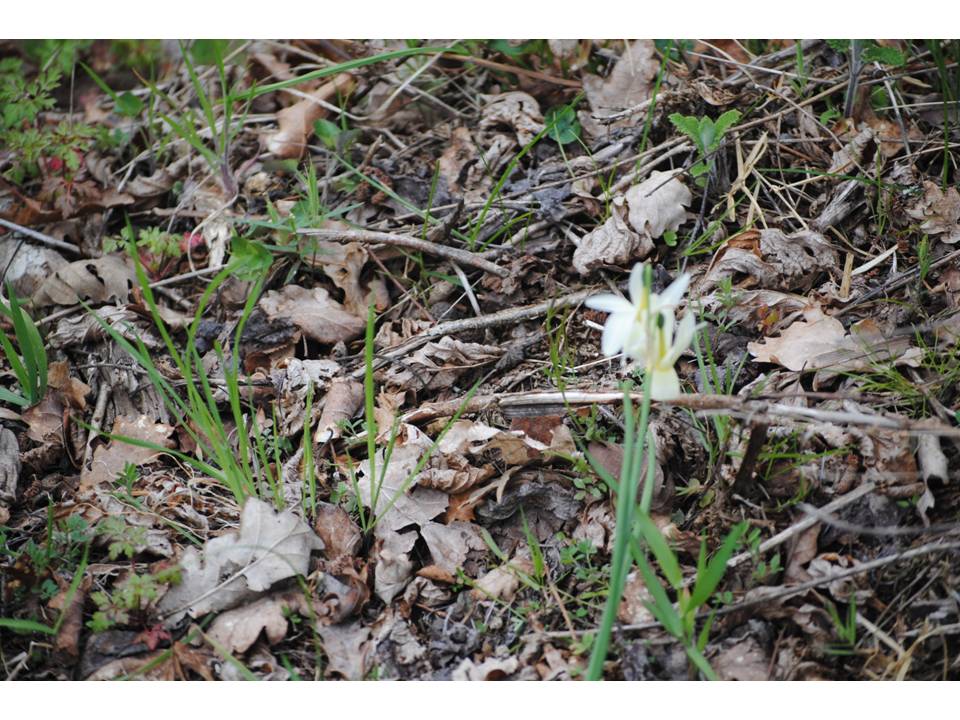 Presentación20 Presentación20