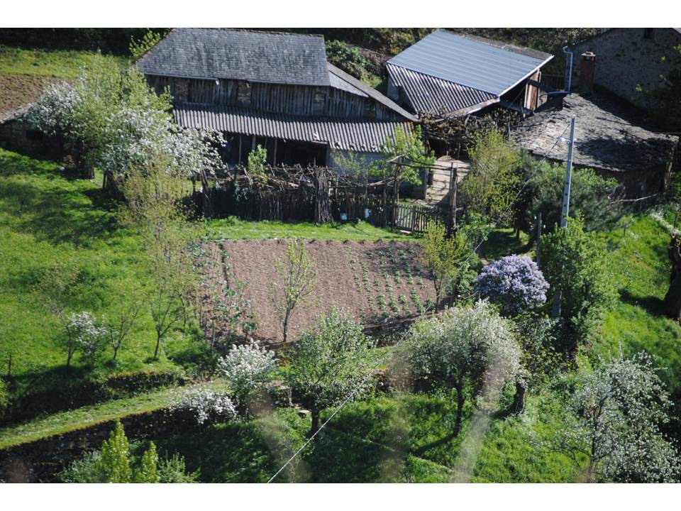 Presentación20 Presentación20