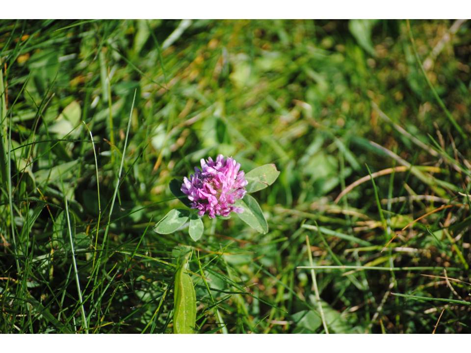 Presentación21 Presentación21