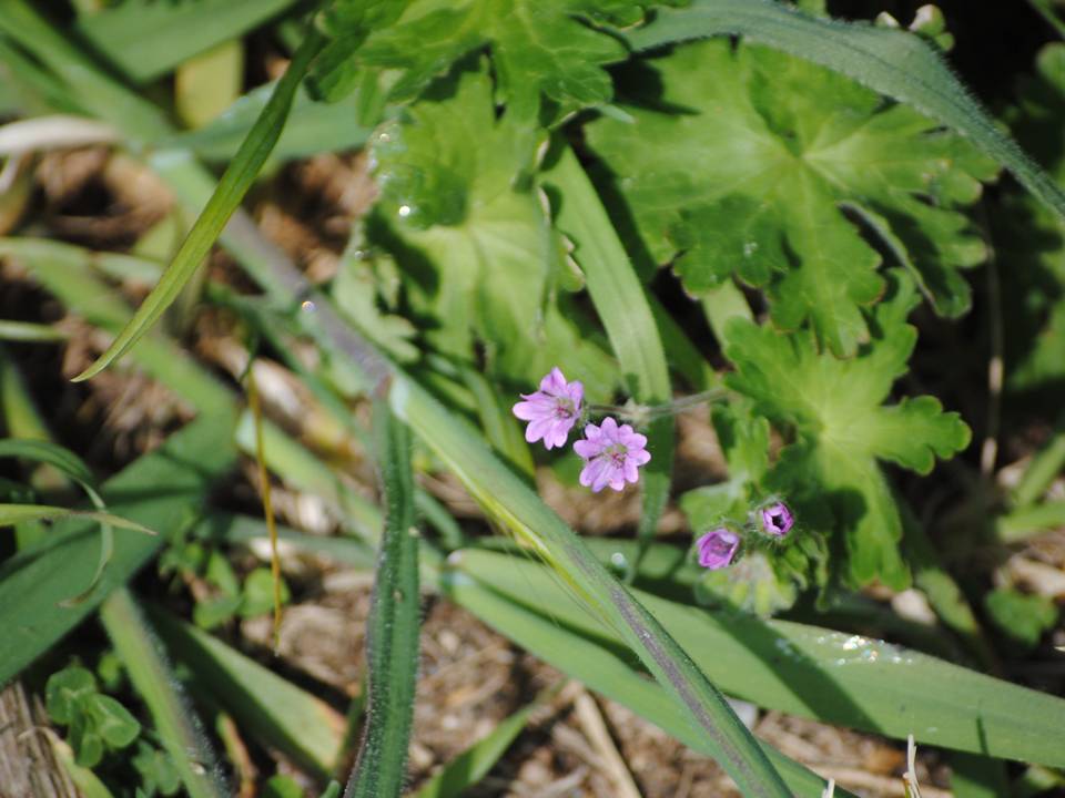 Presentación21 Presentación21