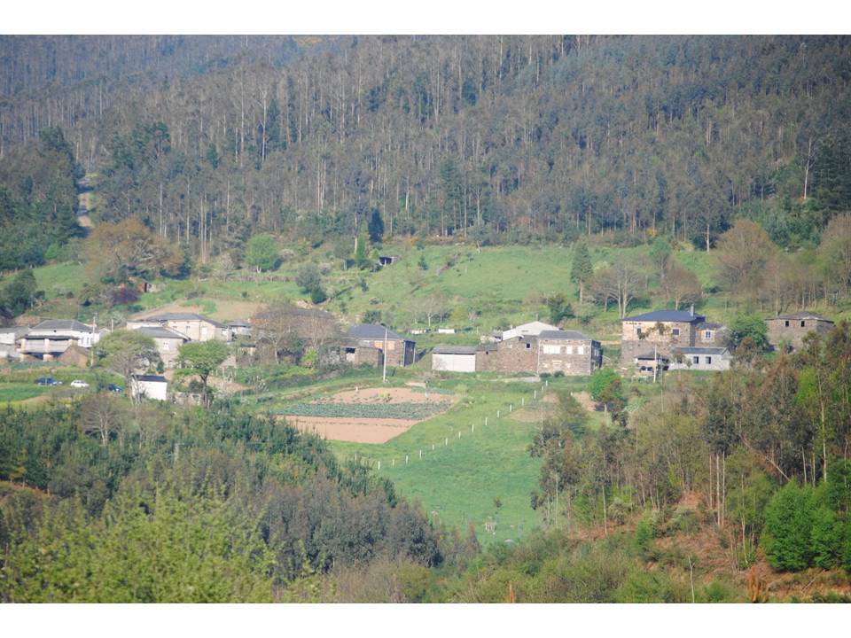 Presentación21 Presentación21