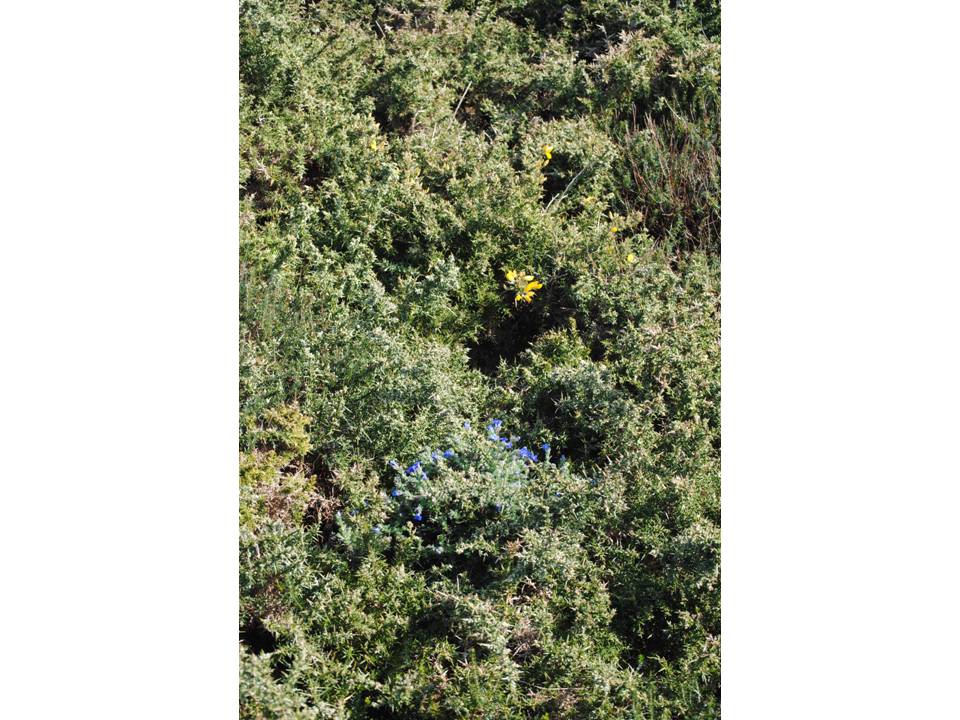 Presentación22 Presentación22