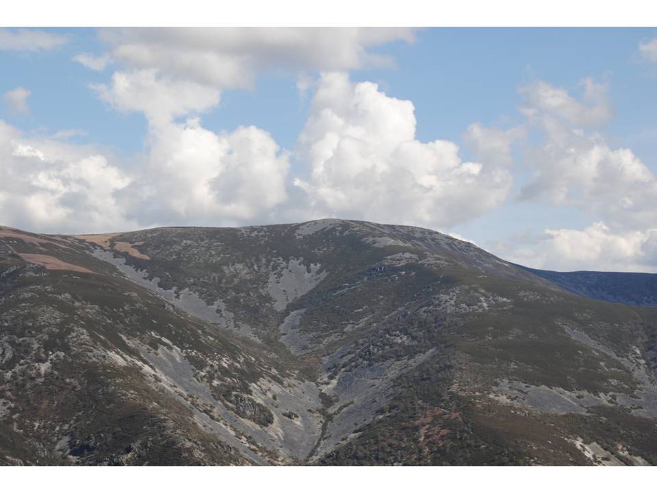 Presentación22 Presentación22