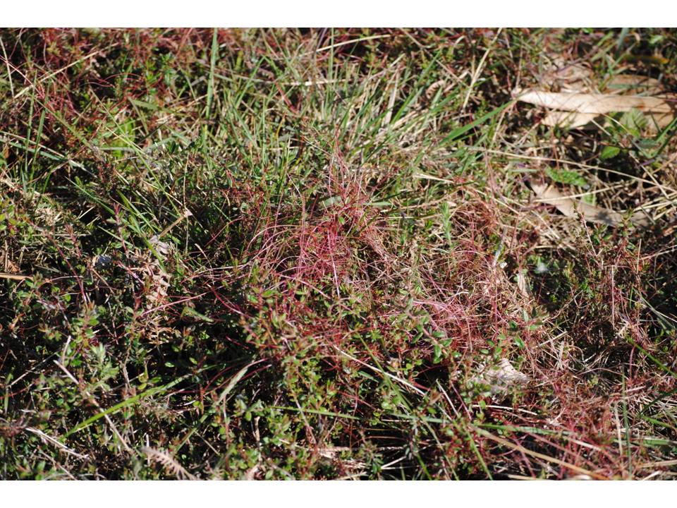 Presentación23 Presentación23