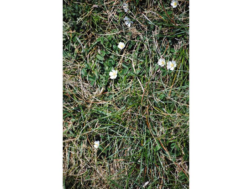 Presentación23 Presentación23