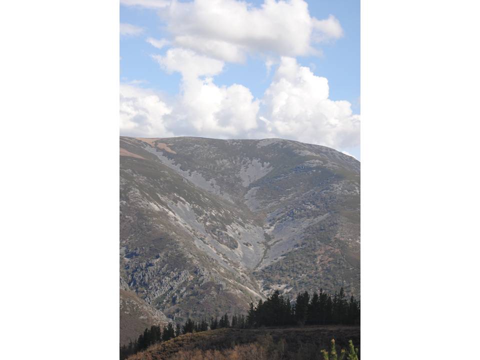 Presentación23 Presentación23