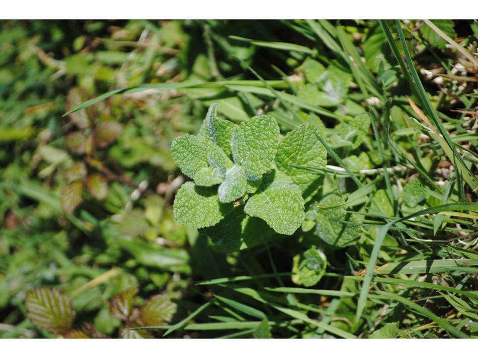 Presentación24 Presentación24