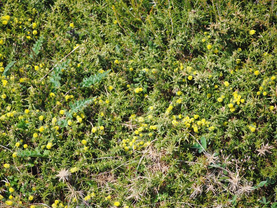 Presentación24 Presentación24