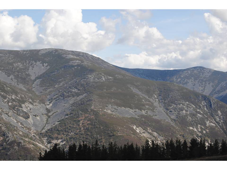 Presentación24 Presentación24