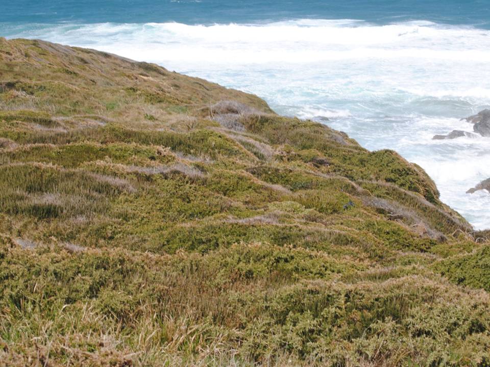 Presentación25 Presentación25