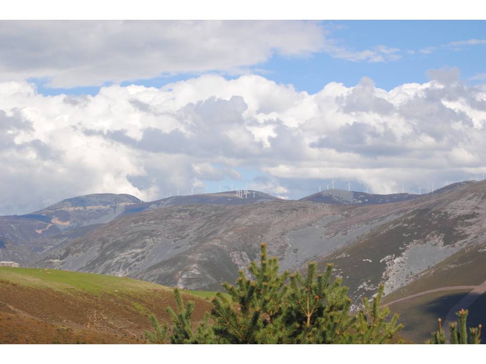 Presentación25 Presentación25