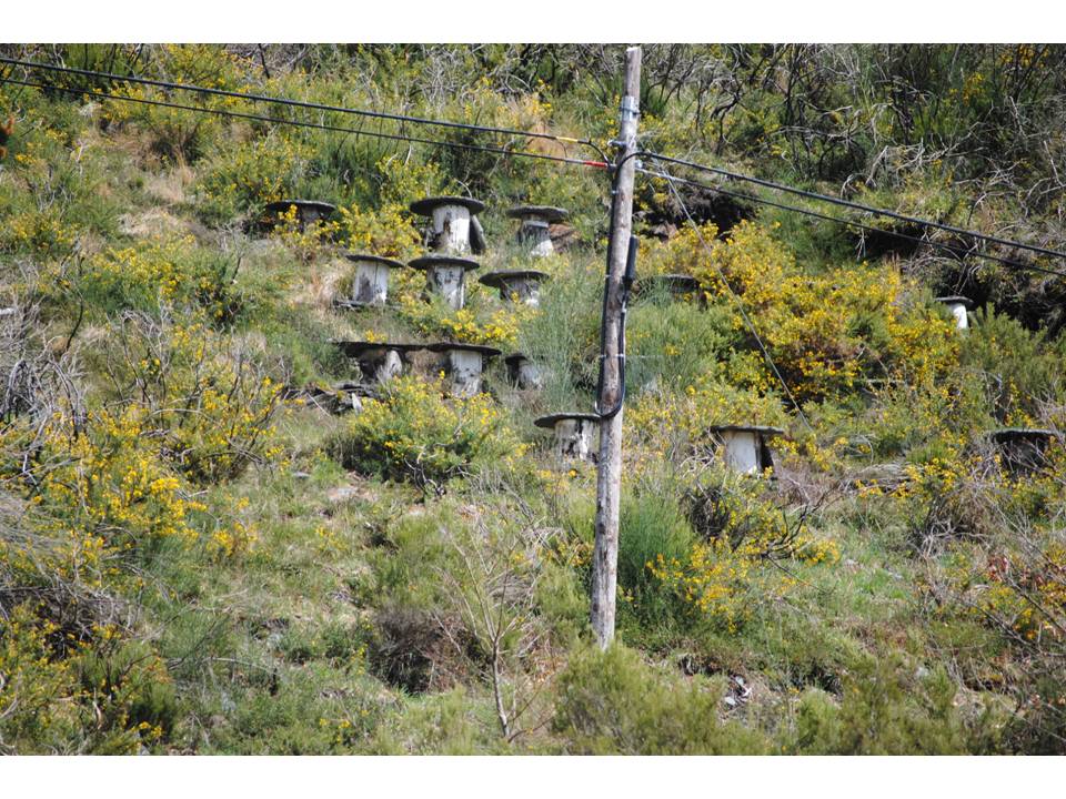 Presentación2 Presentación2